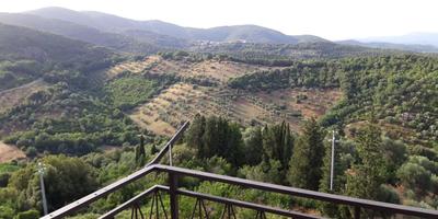 Casa di Nonna - Immagini